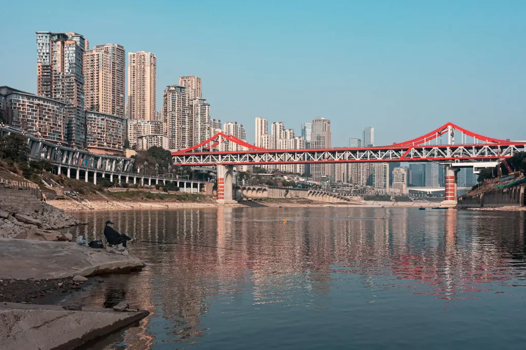 2024年武汉建材装饰行业新规解读：装修材料环保标准升级要点