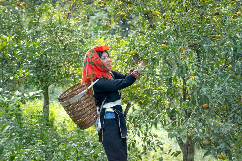 武汉小虎家居五金配件材质对比：不锈钢与铝合金应用场景分析